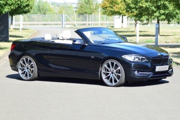 Glass Wind Deflector for THE 2 - BMW 2 series convertible F23 - Image 4
