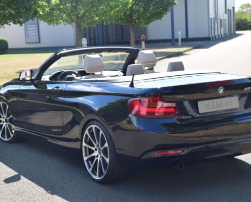 Glass Wind Deflector BMW