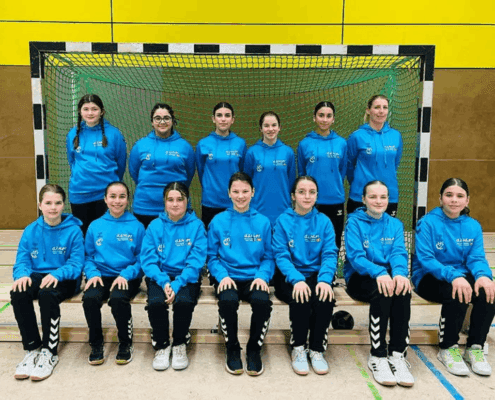 HG Saarlouis Handball 3. Liga Regionalliga Dähler Sponsor U15 U19 U23 weiblich D